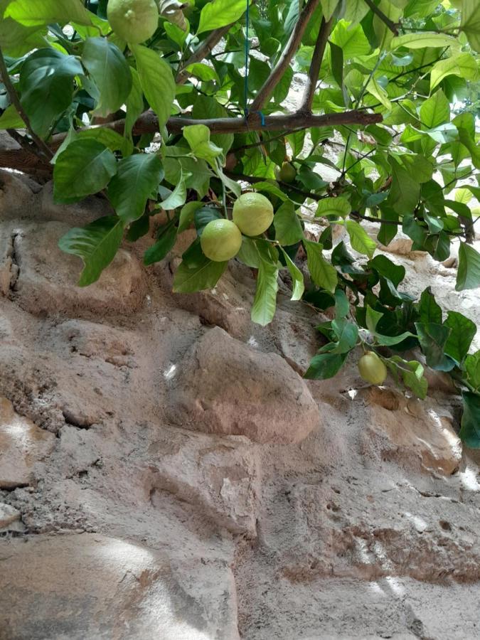 Iznatoraf Casa Pozo De La Nieve 빌라 외부 사진